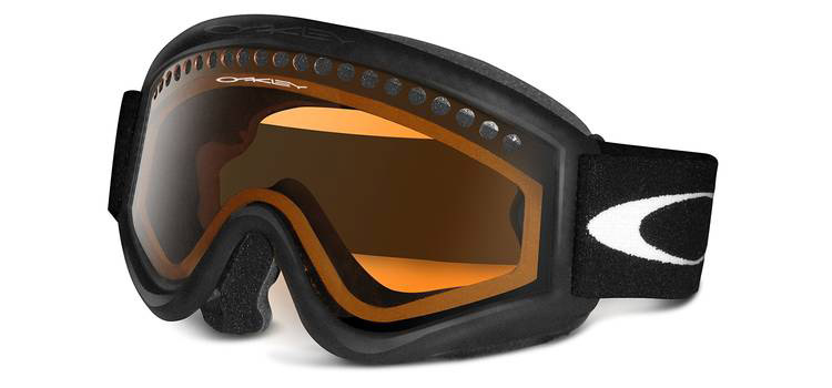 oakley l frame goggles